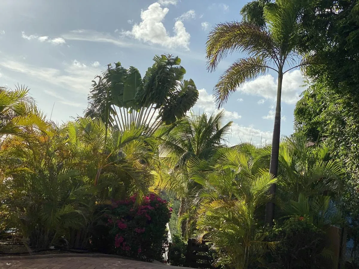 Home Sweet Home Jan Thiel Curacao Best View Curacao
