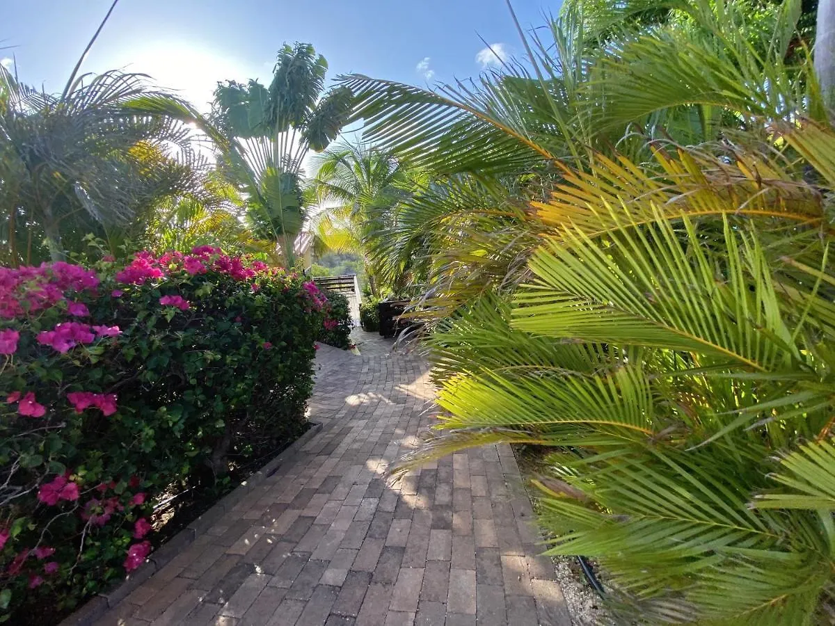 Home Sweet Home Jan Thiel Curacao Best View 3*,  Curacao